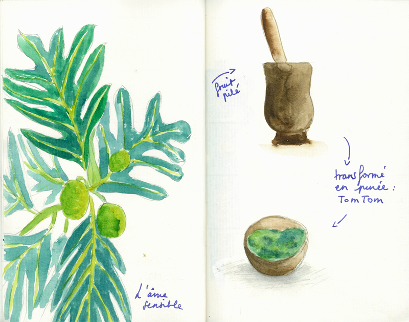 camilledemontmorillon_illustration-haiti_2.jpg