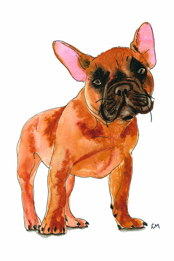 CamilledeMontmorillon_Bouledogue.jpg